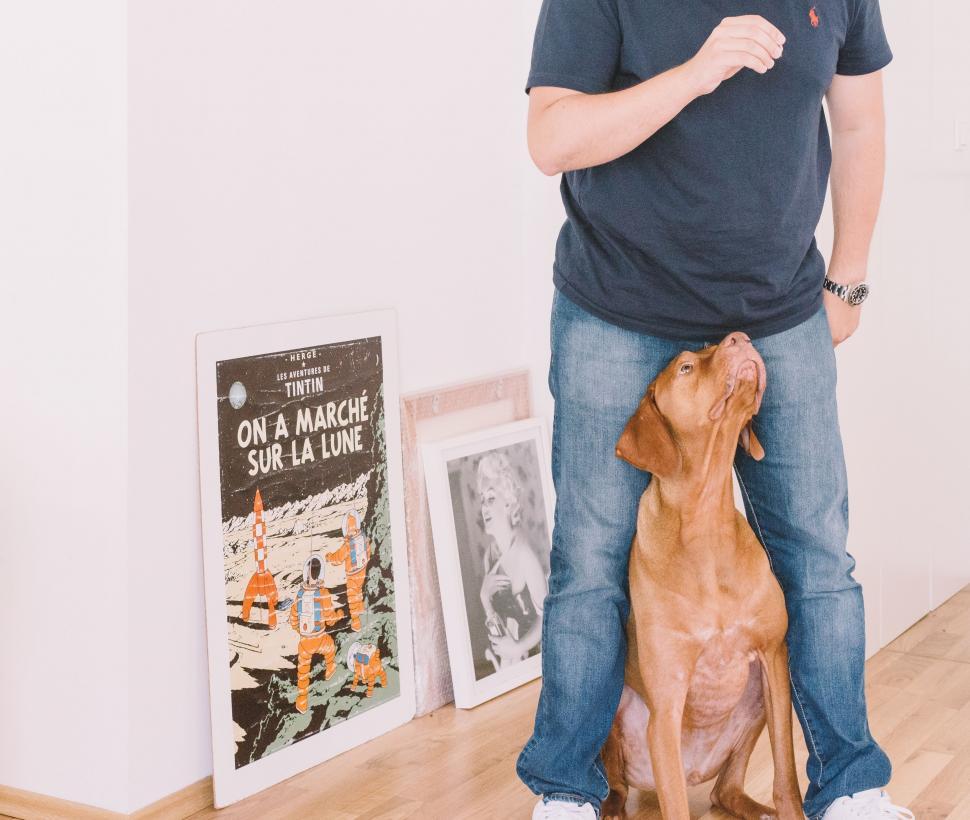 Free Image of Man Standing Next to Brown Dog on Wooden Floor 