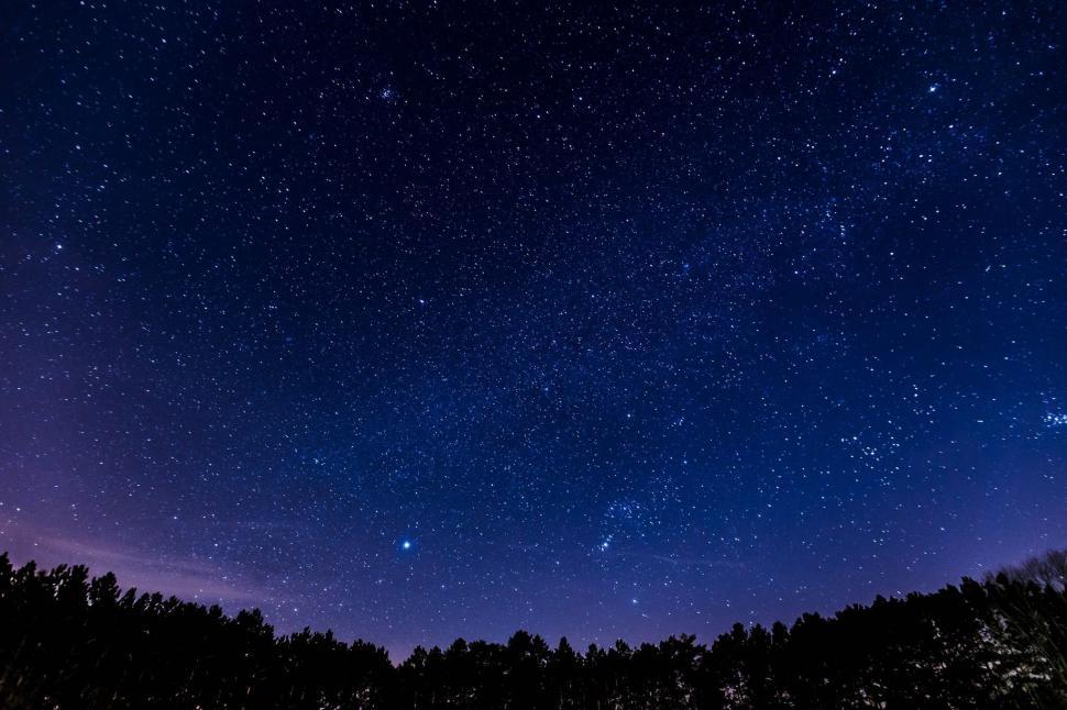 Free Image of Starry Night Sky With Trees 