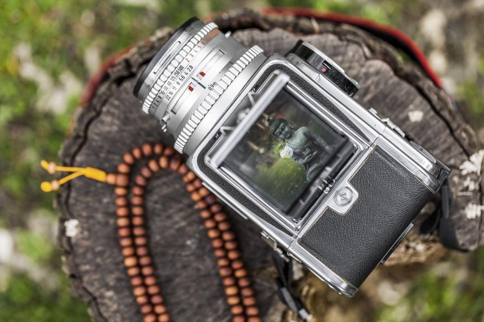 Free Image of Camera on Tree Stump 