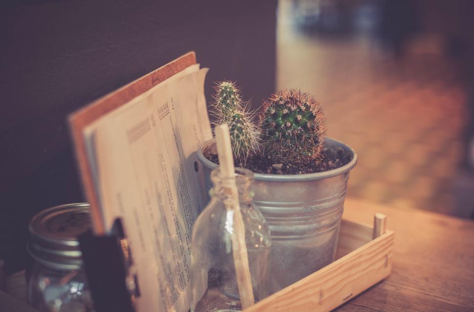Free Image of Potted Plant on Wooden Table 