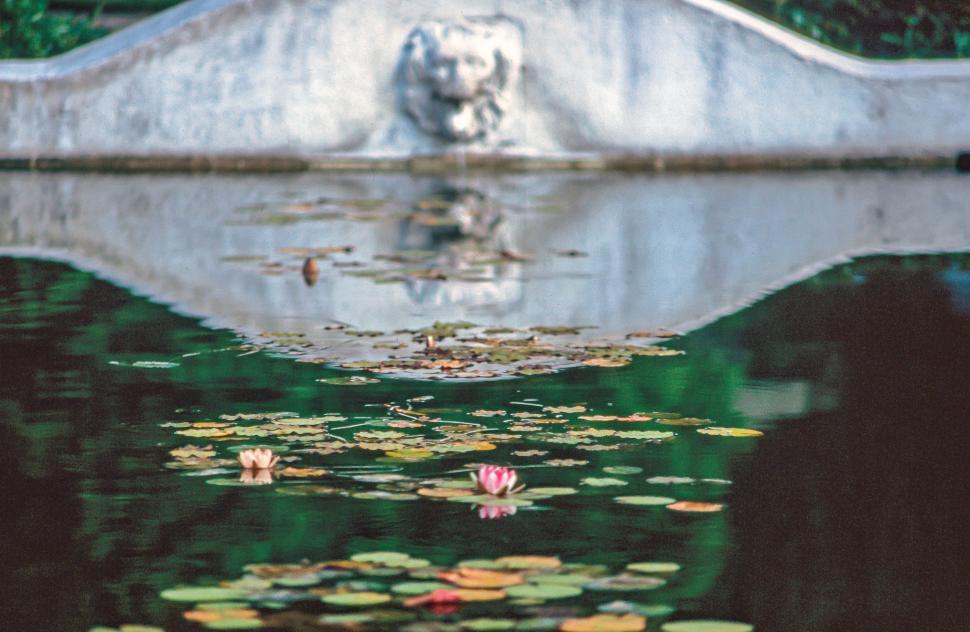 Free Image of Lion head fountain 