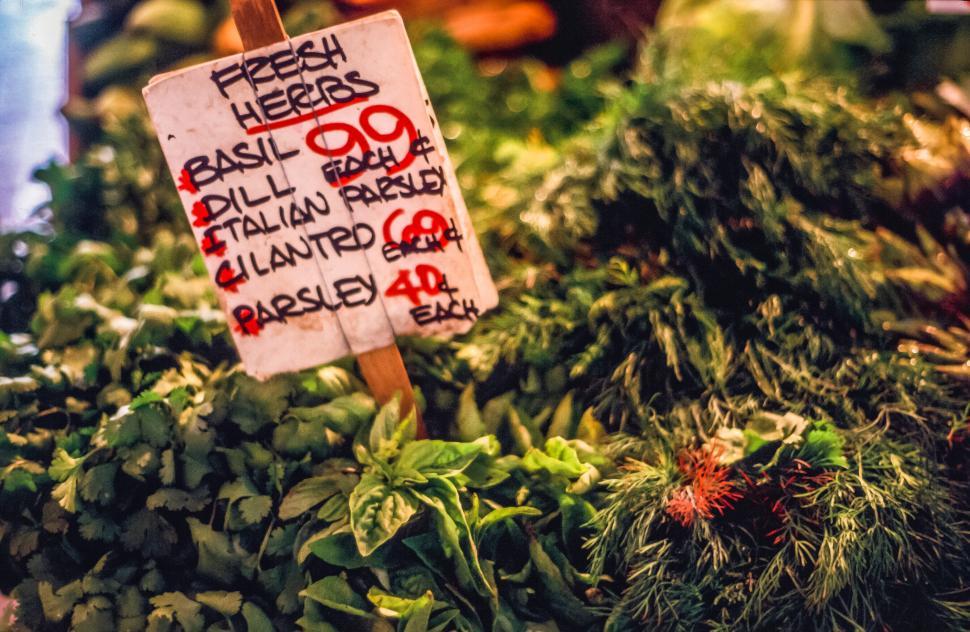 Free Image of Fresh Herbs 