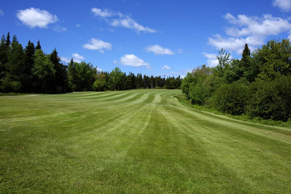 Free Image of Golf Fairway 