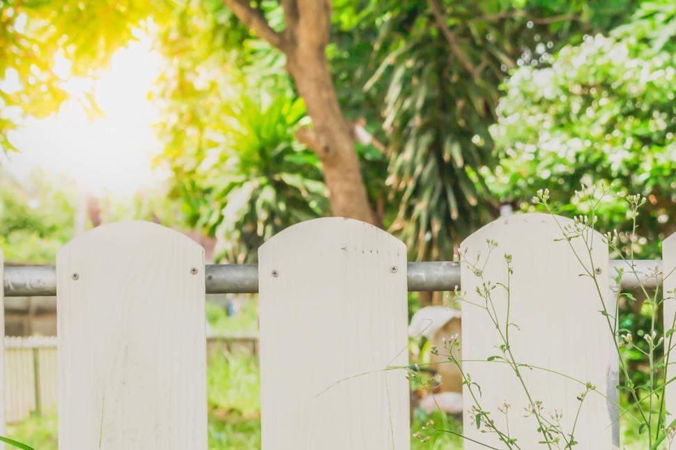 Free Image of Garden fence slats in the morning 