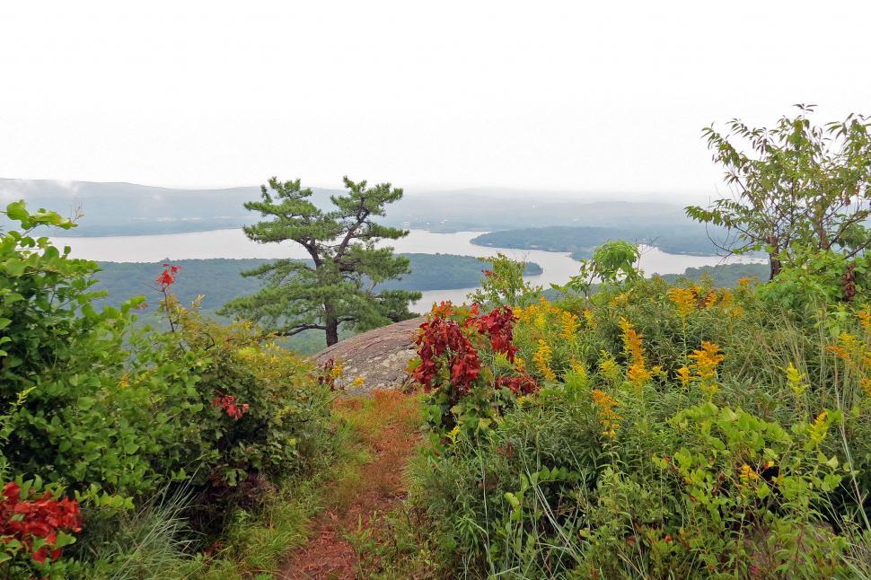 Free Image of Mountain Path 