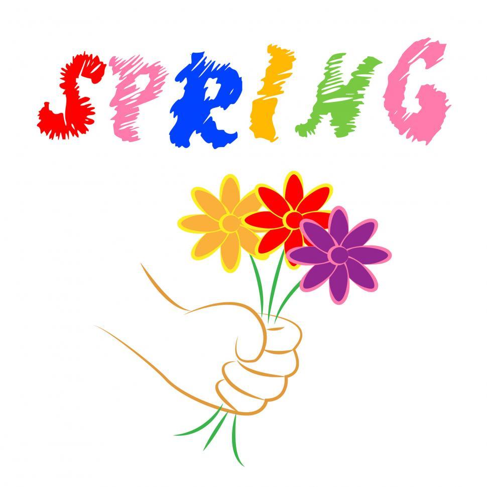 Free Image of Spring Flowers Means Florist Season And Florals 