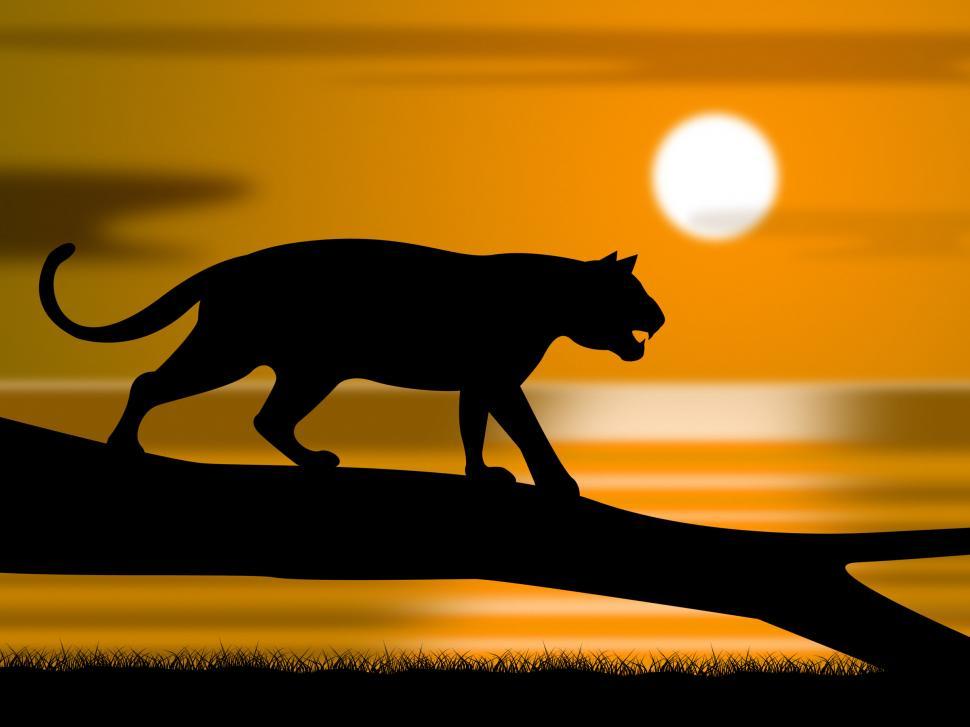 Free Image of Tiger On Tree Represents Wildlife Animals And Astronomy 