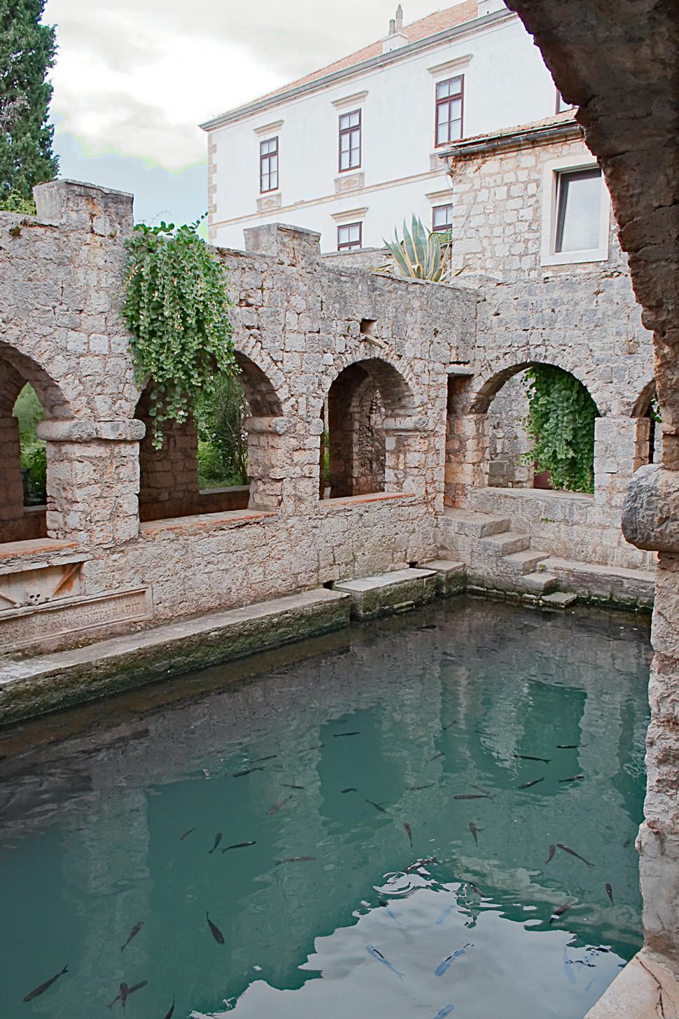 Free Image of Fishpond 