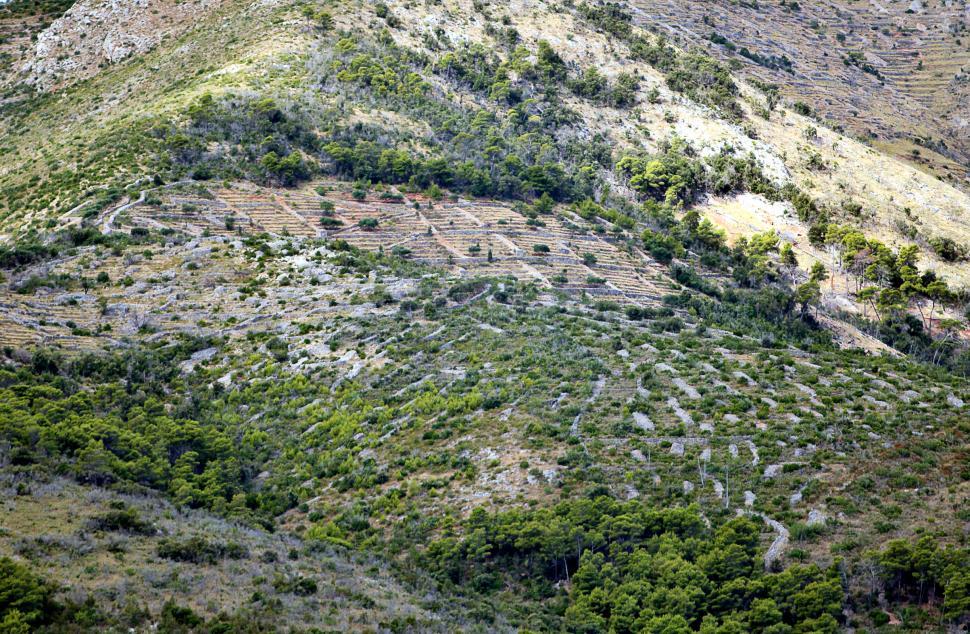 Free Image of Landscape 
