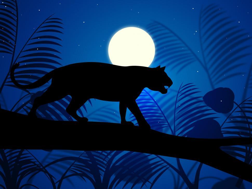 Free Image of Tiger On Tree Indicates Wild Animals And Beast 