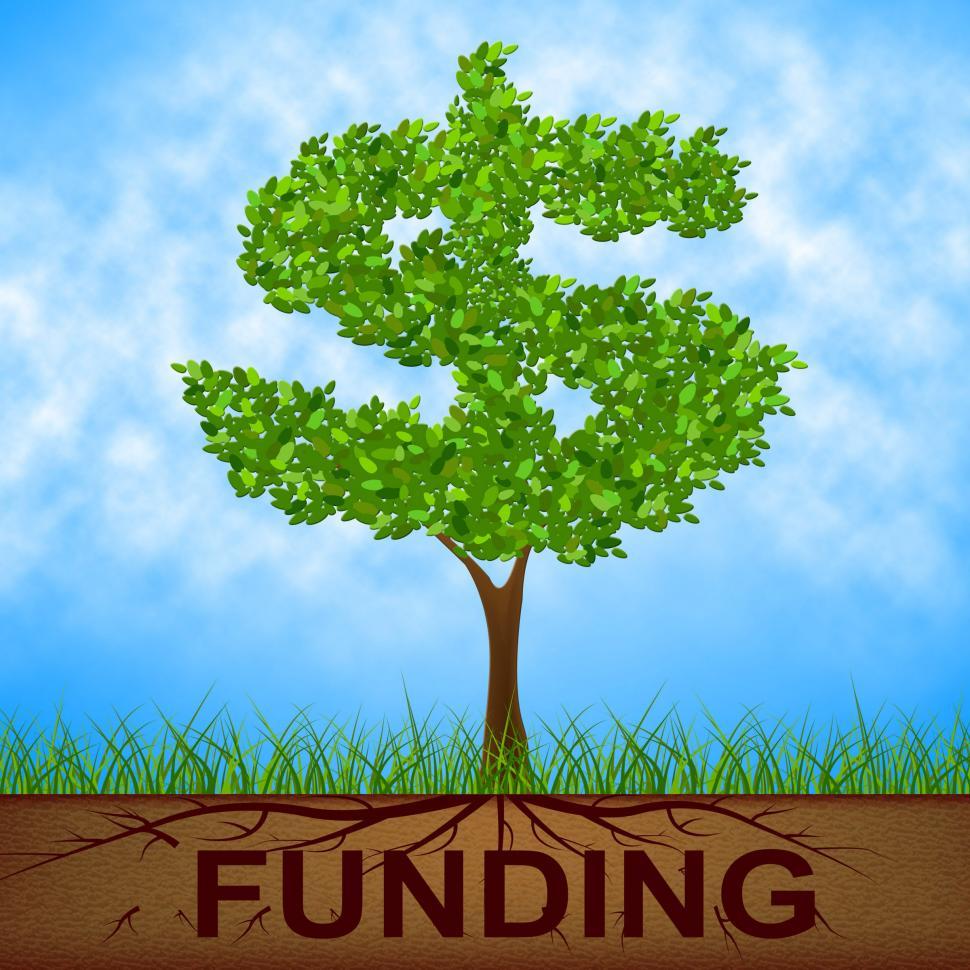 Free Image of Funding Tree Means United States And Banking 