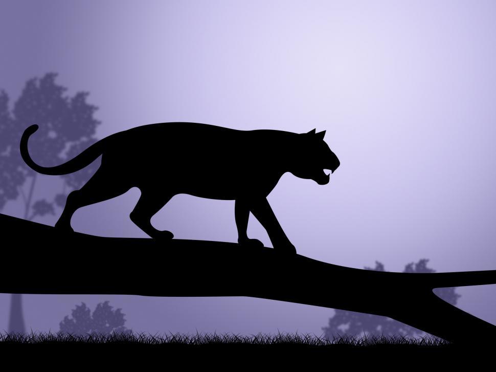 Free Image of Tiger On Tree Indicates Wild Animals And Predator 