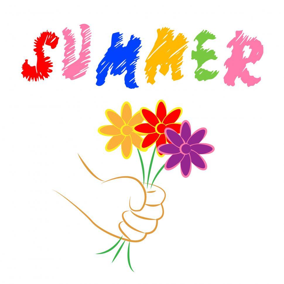 Free Image of Summer Flowers Represents Flora Blooming And Petals 