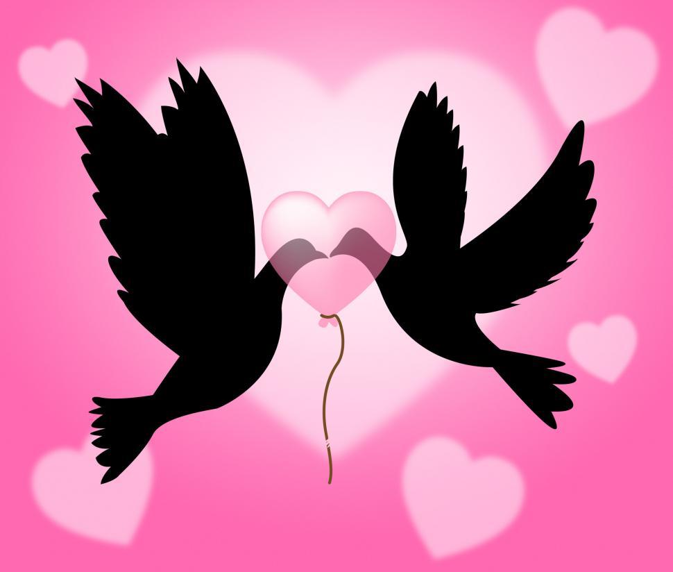 Free Image of Peace Doves Shows Flock Of Birds And Freedom 