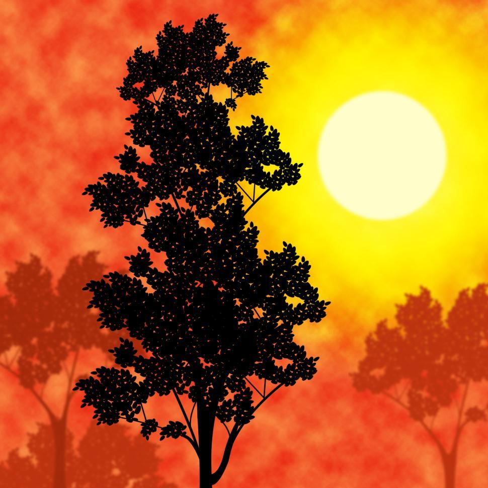 Free Image of Countryside Sunset Means Picturesque Nature And Warm 