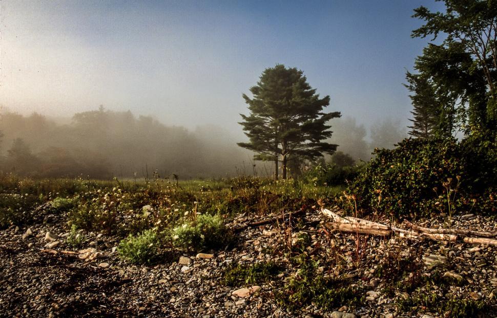 Free Image of Foggy Morning 