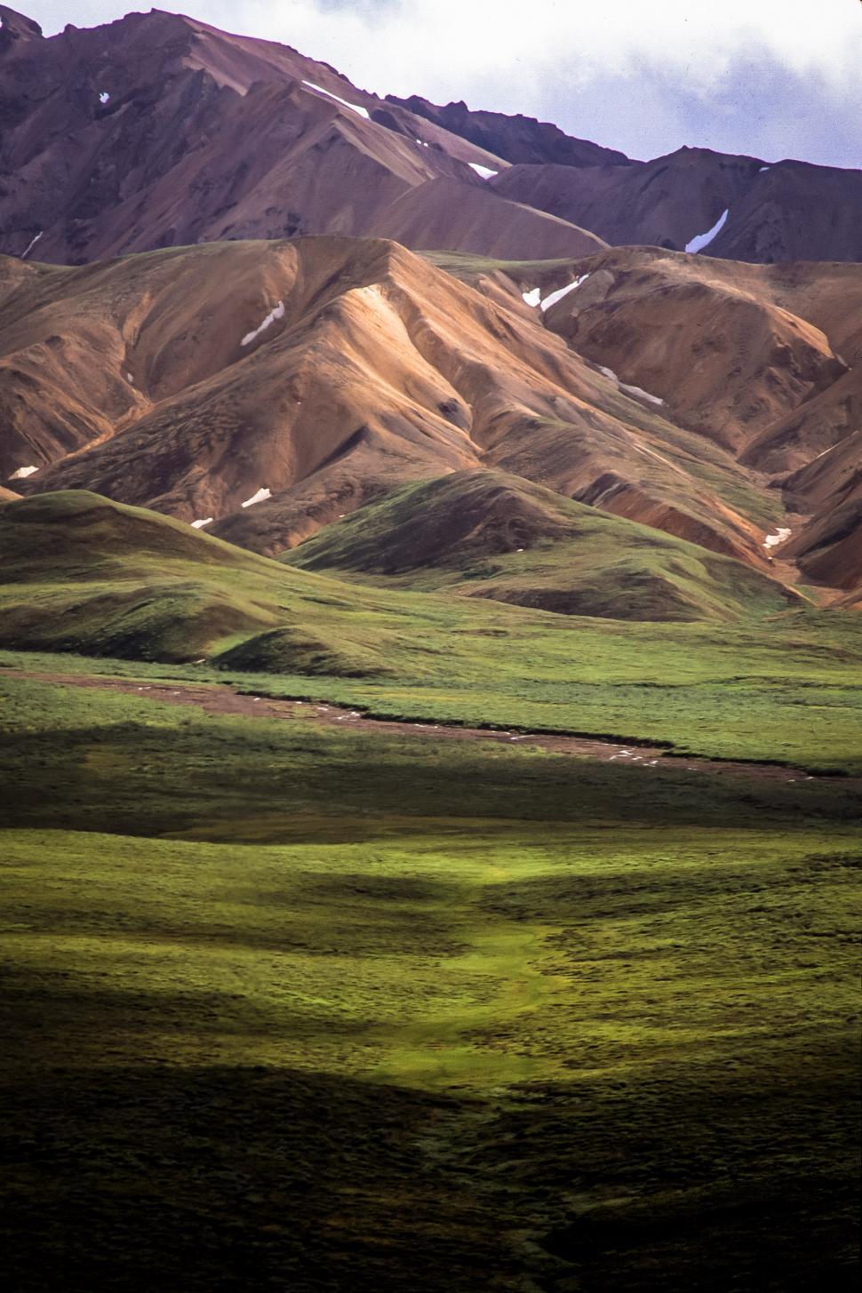 Free Image of Polychrome Pass, Denali National Park 