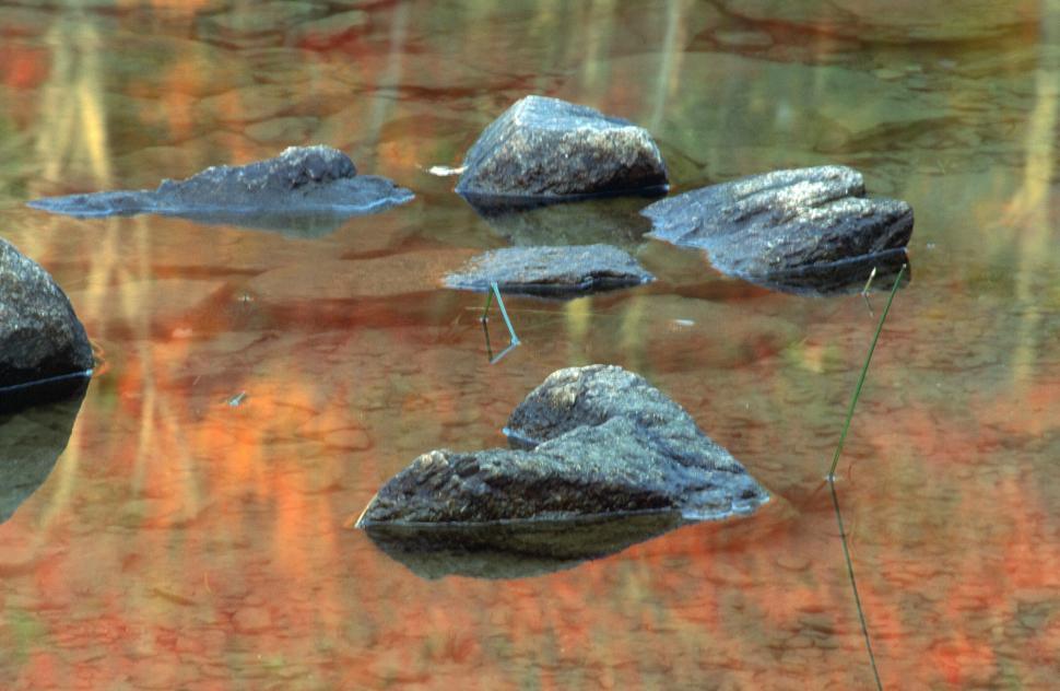 Free Image of Fall foliage reflection 