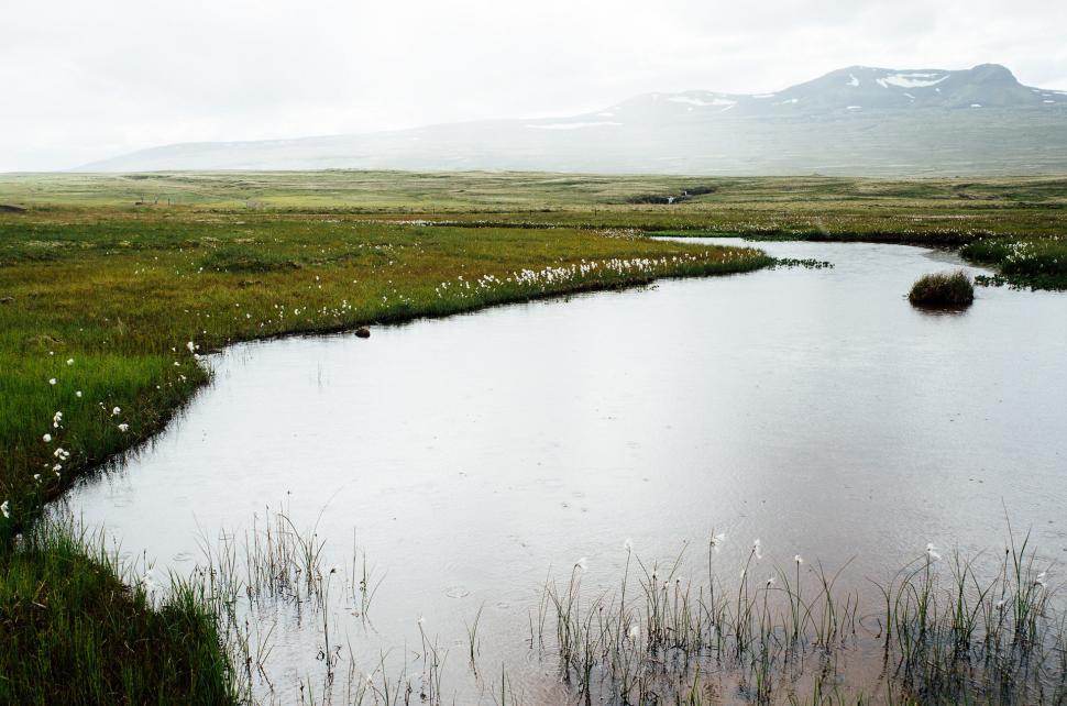 Free Image of Small Pond in Grassy Field 