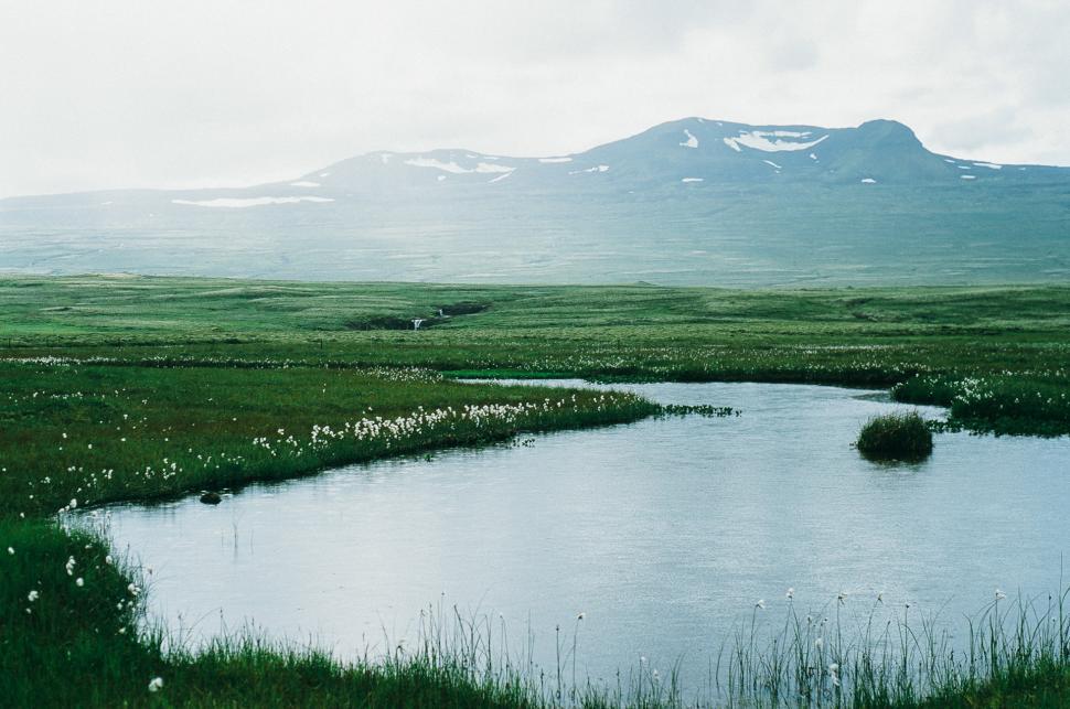 Free Image of Small Pond in Grassy Field 
