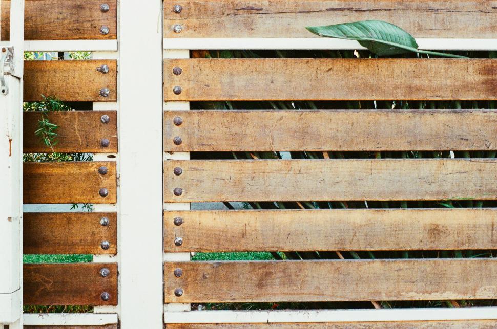 Free Image of Close Up of Wooden Fence With Plant Growth 
