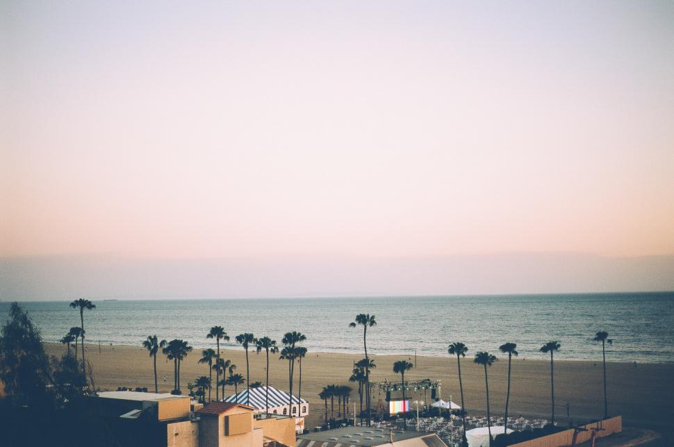 Free Image of A View of a Beach With Palm Trees and the Ocean 