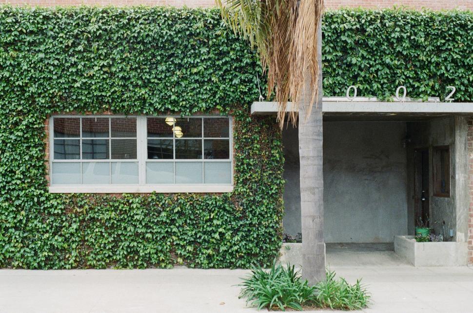 Free Image of Green Building and Palm Tree 