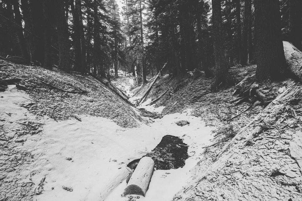 Free Image of Pipe Covered in Snow 