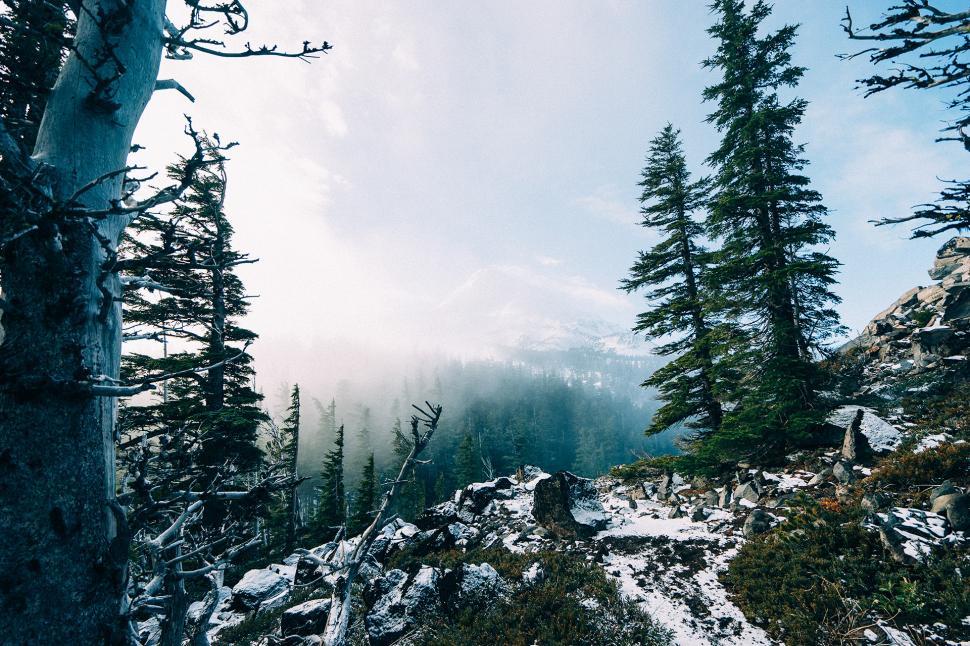 Free Image of Person Snowboarding Down Snowy Hill 