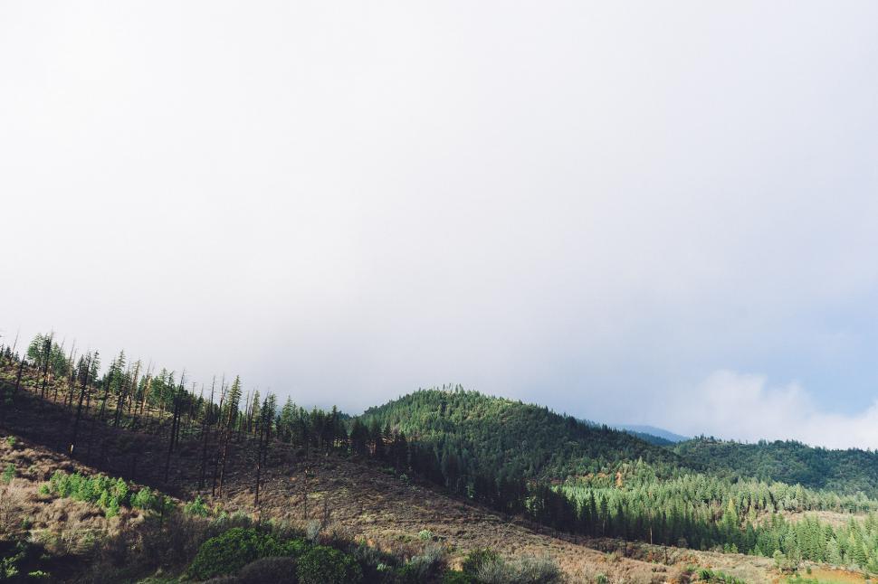 Free Image of Mountain With Sparse Trees 