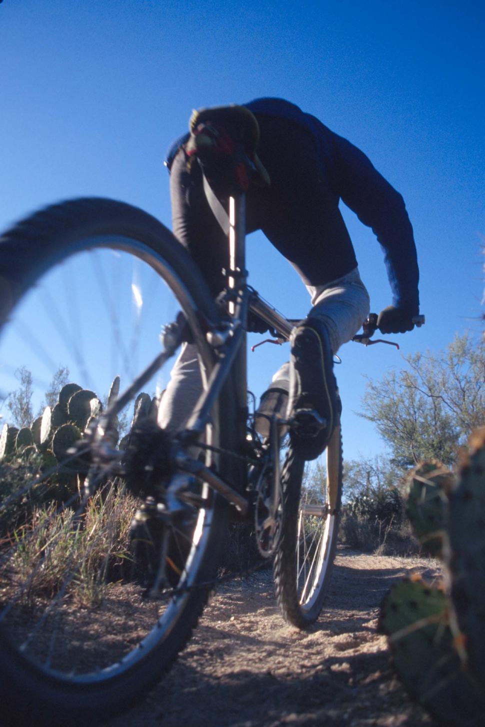 Free Image of Mountain biker 