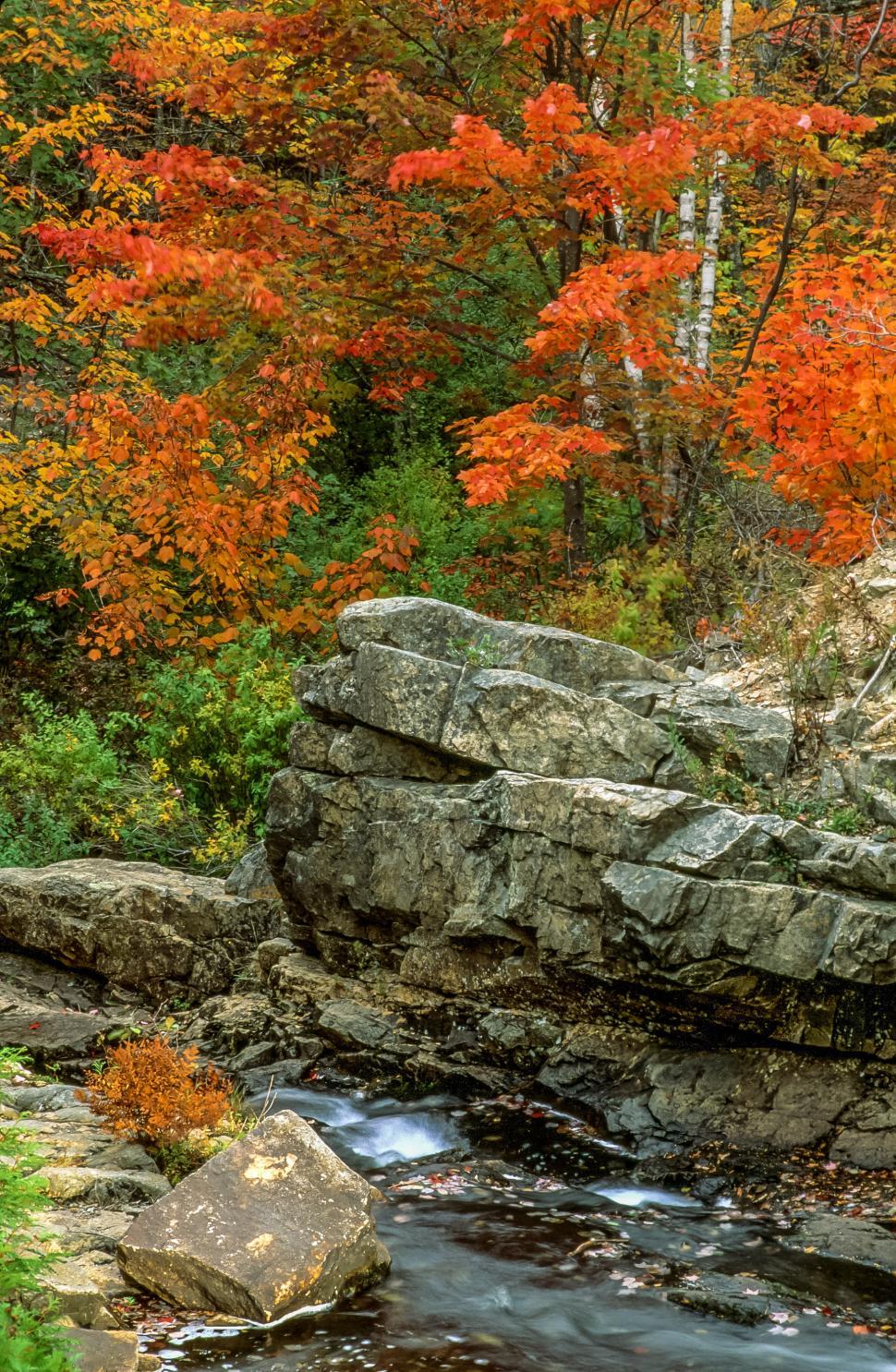 Free Image of Fall foliage colors and stream 