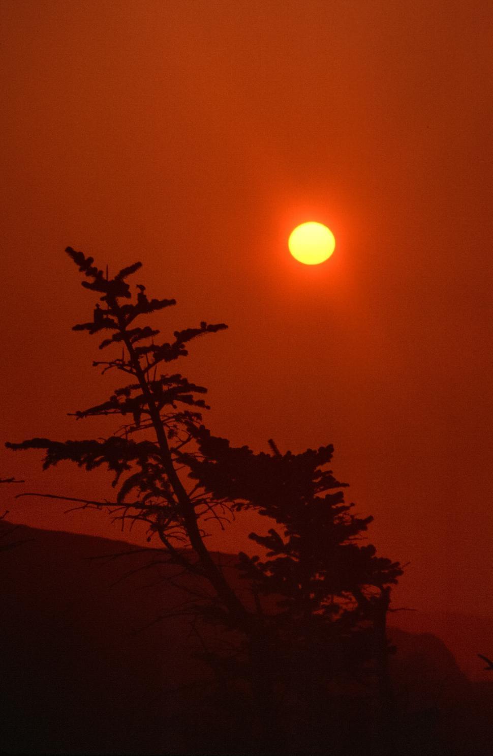Free Image of Deep orange sunset 