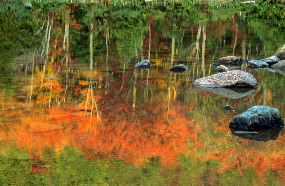 Free Image of Fall foliage reflected 