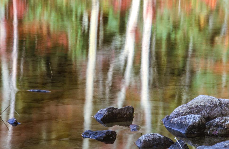 Free Image of Reflection on Lake 