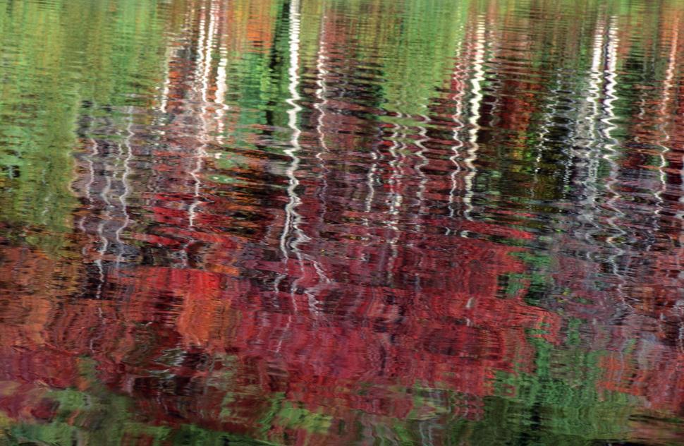 Free Image of Fall foliage reflection 