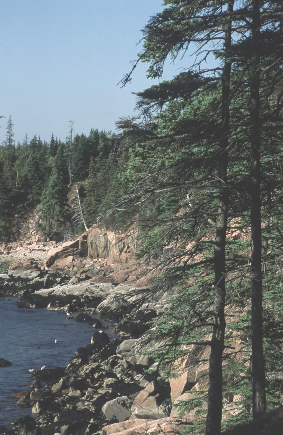 Free Image of Eagle Lake Rocky Shoreline 