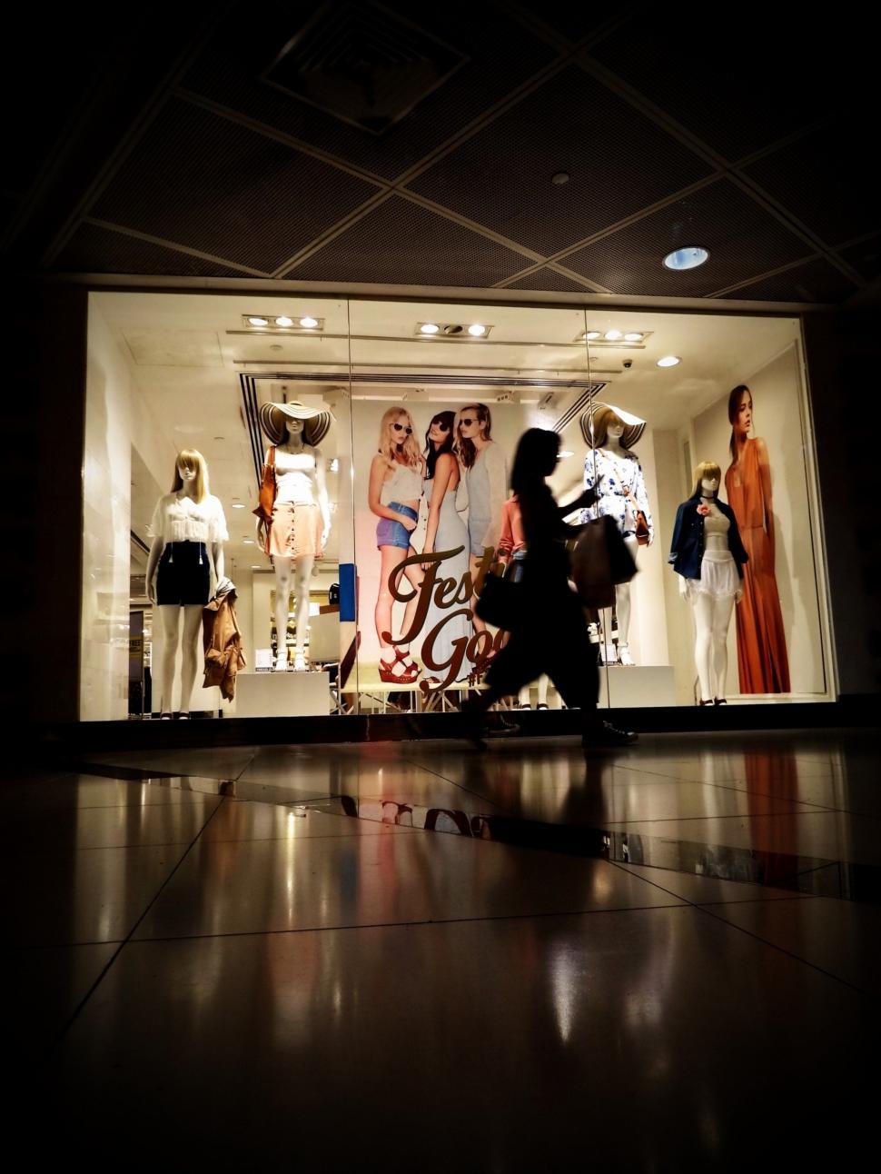 Free Image of Lady Shopping Silhouette  
