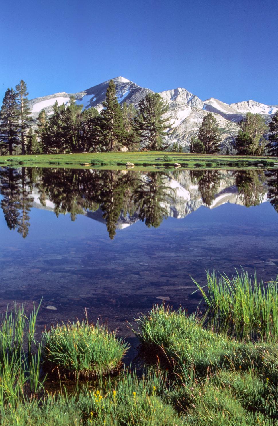 Free Image of View of Yosemite Valley 