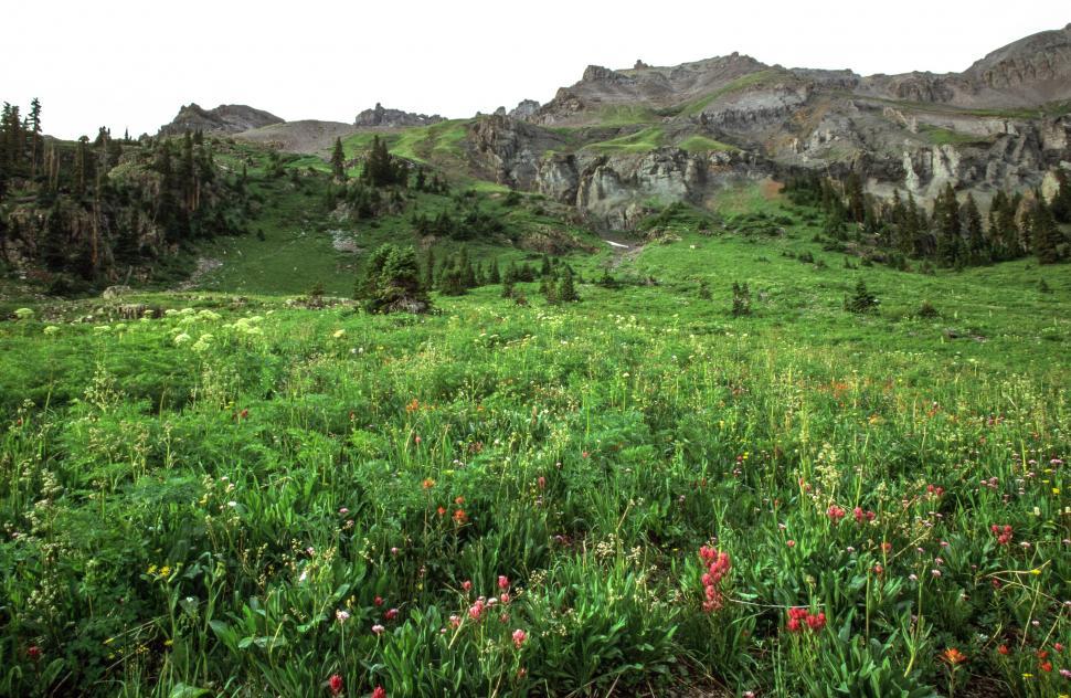 Free Image of Uncompahgre National Forest 
