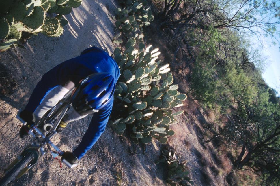 Free Image of Mountain biker top view 