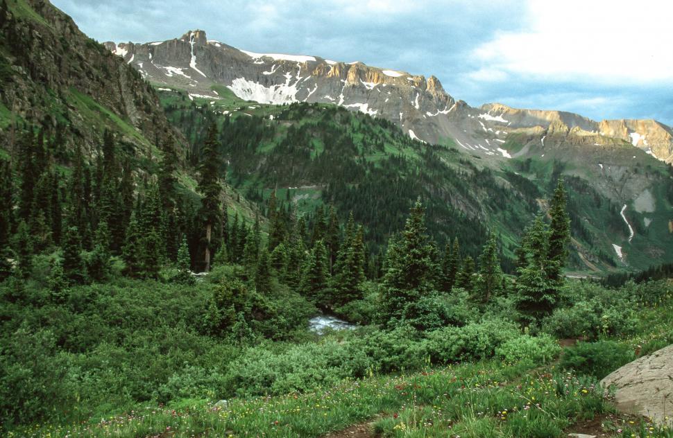 Free Image of Uncompahgre National Forest 