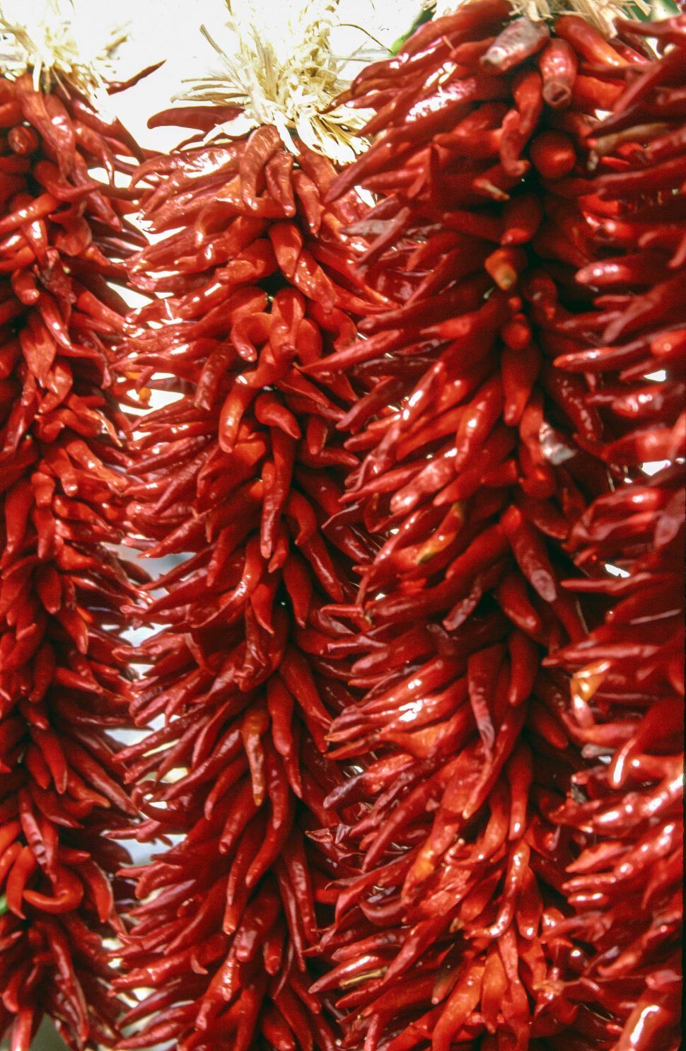 Free Image of Red chillies 