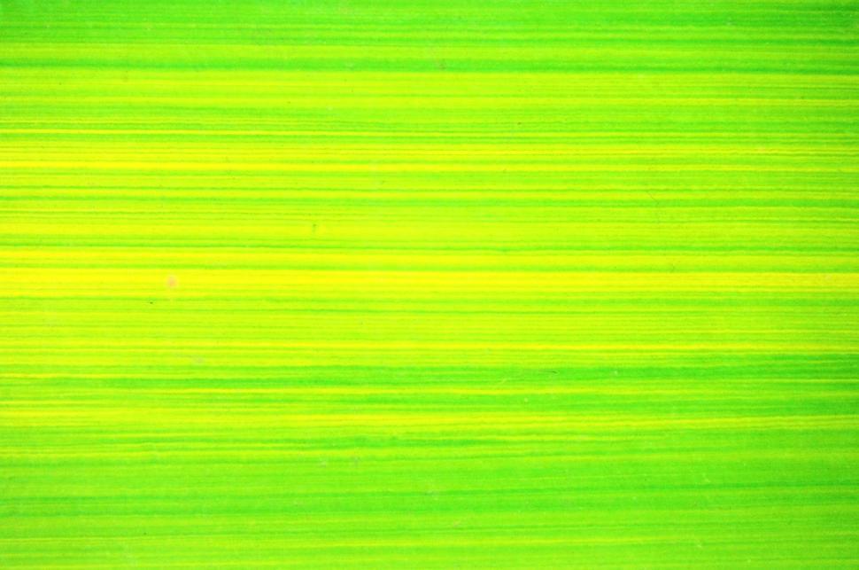 Free Image of Bright Green Lines Background  