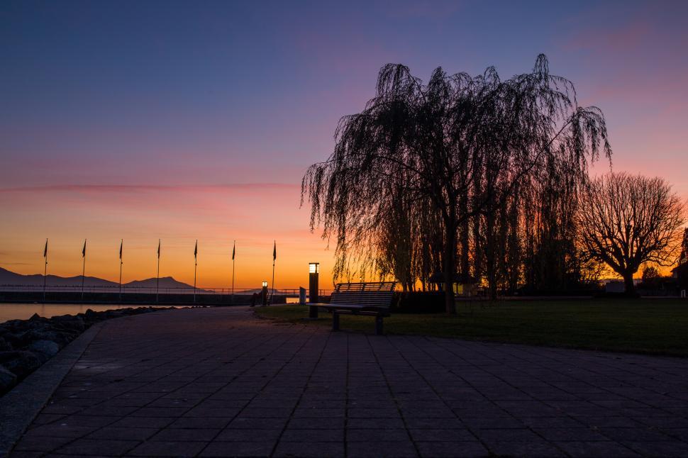 Free Image of Bench by Tree Near Water 