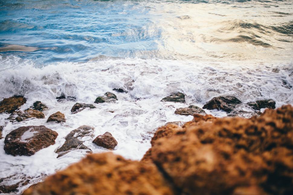 Free Image of Person Swimming in Body of Water 