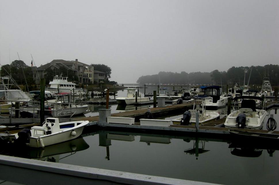 Free Image of Salty Dog 