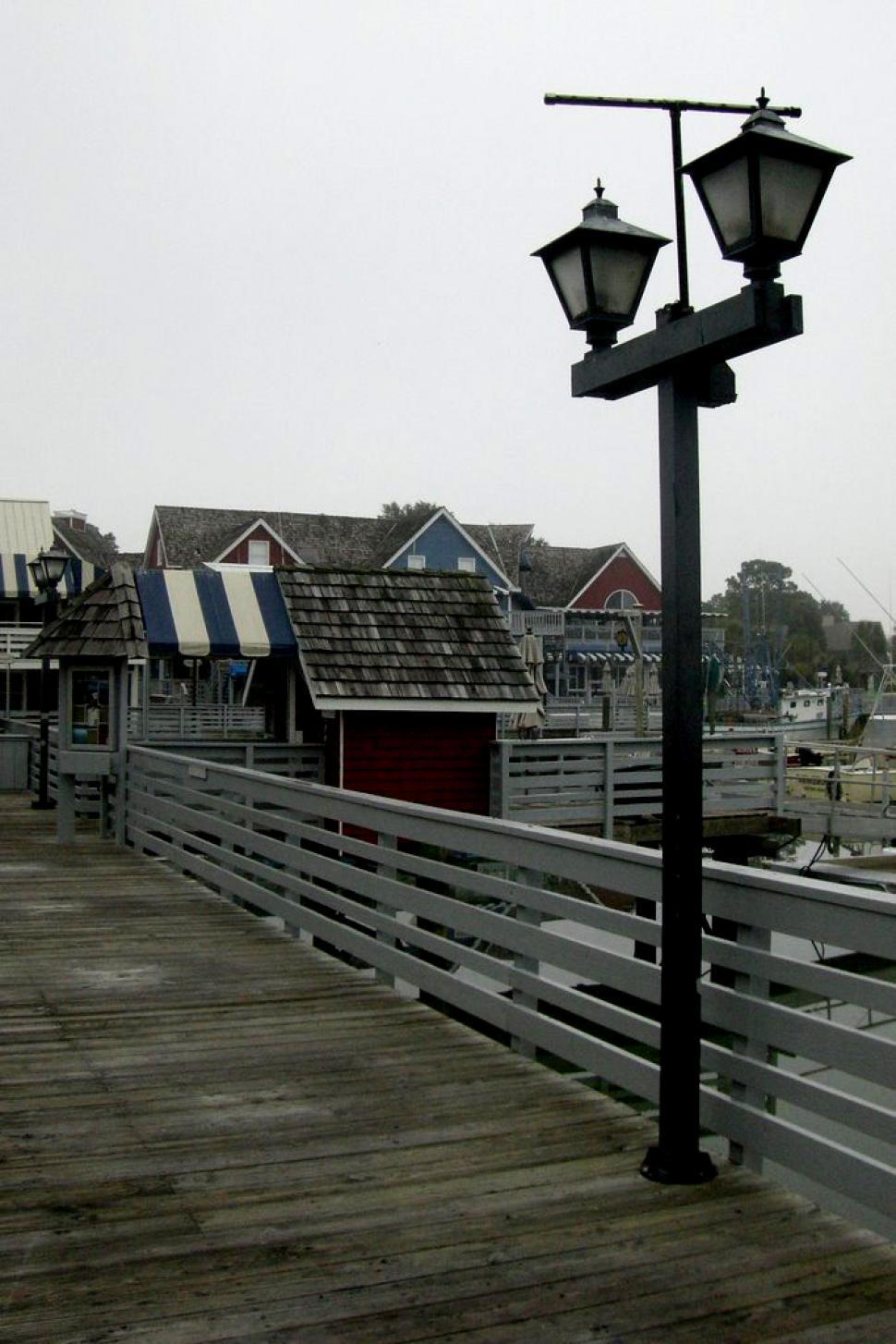 Free Image of Salty Dog 