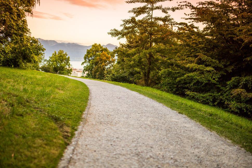 Free Image of A Path Amidst a Lush Green Field 