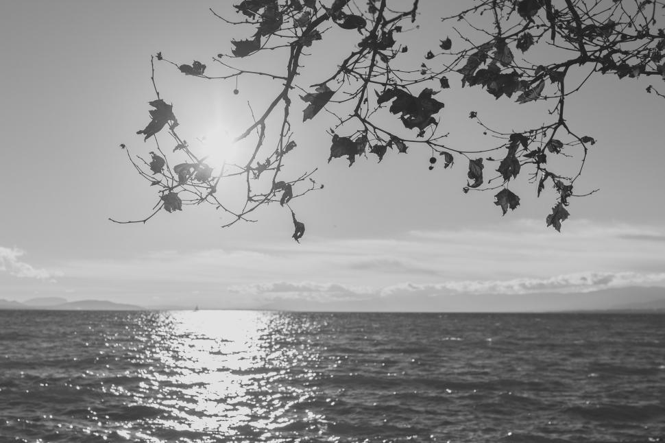 Free Image of Black and White Photo of the Ocean 